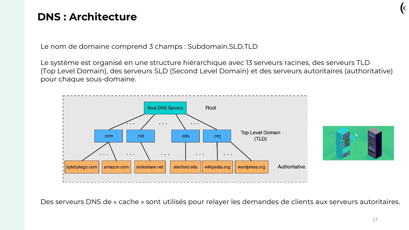 Extrait du support — l'architecture hiérarchique du DNS